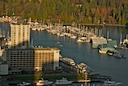 Punting in Coal Harbour